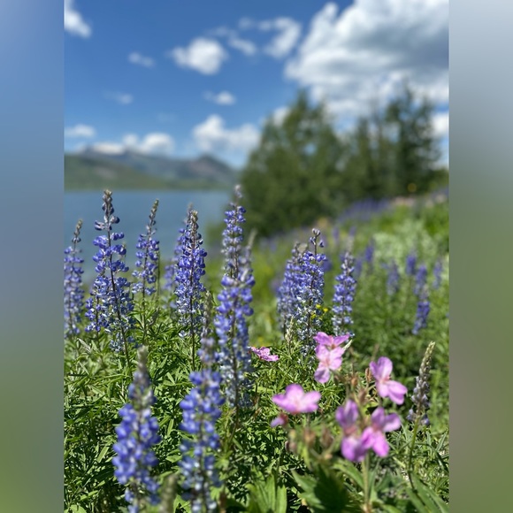 WELCOME to my closet! About me: - Picture 9 of 15